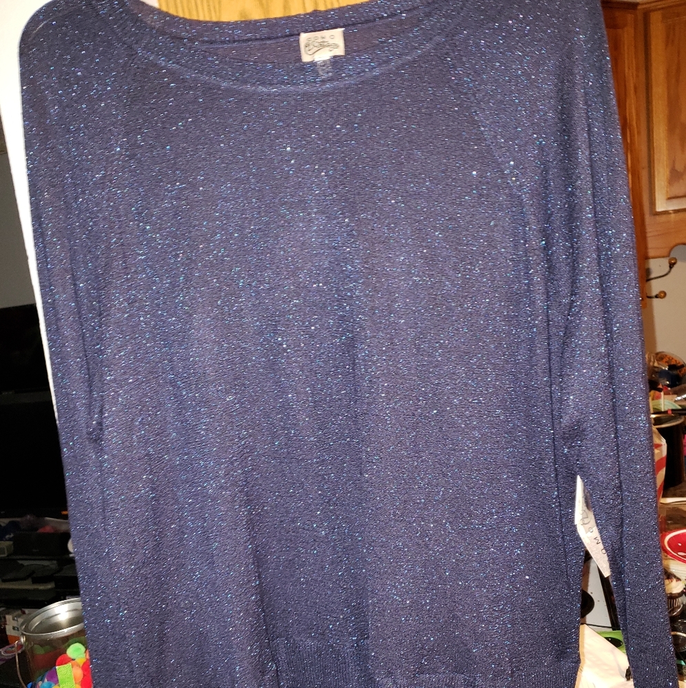 Womens blue sheer sparkly 3x shirt